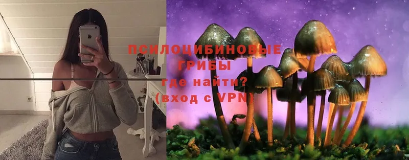 Псилоцибиновые грибы MAGIC MUSHROOMS  Заполярный 